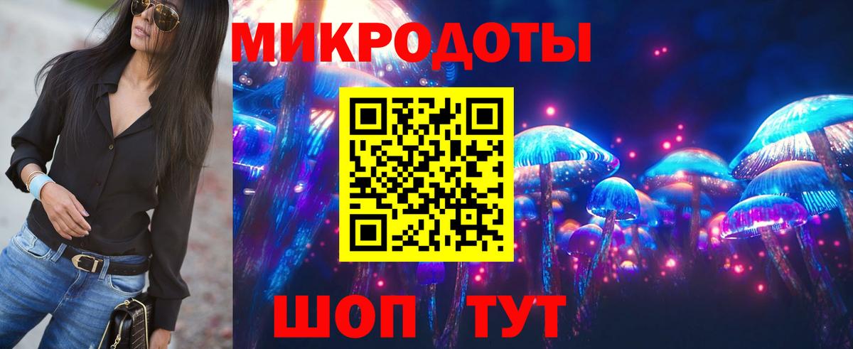 Галлюциногенные грибы Cubensis Элиста