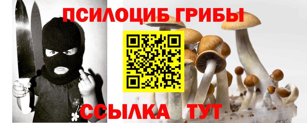 где найти наркотики  Псилоцибиновые грибы прущие грибы  Элиста  Вход с VPN  Псилоцибиновые грибы Psilocybe 